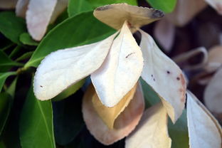 开云官方网页登录-法甲防守阵型转换与对手控球比变化的动态关系研究，法国足球防守型中场