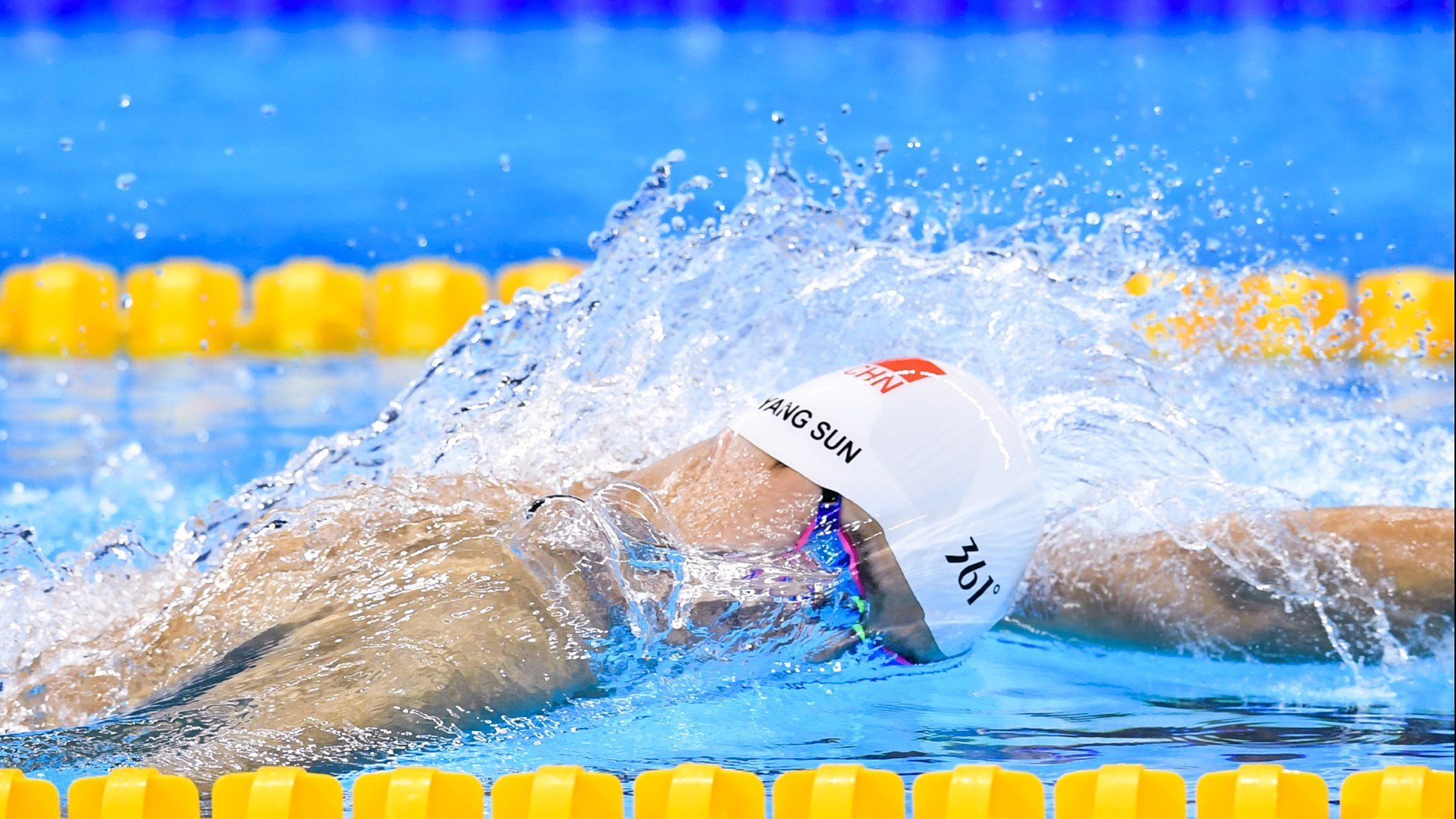中国田径队发布运动员膳食营养调研成果,田径运动员饮食标准